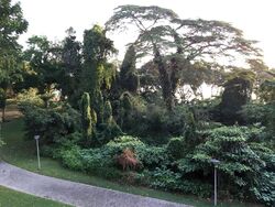 Archipelago (D16), Condominium #574992921